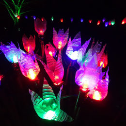 VanDusen Festival of Lights | Jenny S.W. Lee Photography