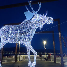 Canada Place 2023, Vancouver BC | Photography by Jenny S.W. Lee