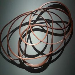 Reclaim + Repair: The Mahogany Project