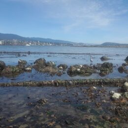 Stanley Park Seawall | Photography by Jenny S.W. Lee