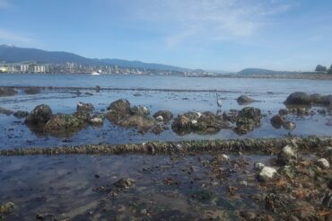 Stanley Park Seawall | Photography by Jenny S.W. Lee