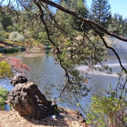 VanDusen Botanical Garden in spring | Photography by Jenny S.W. Lee