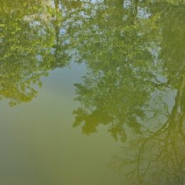 VanDusen Botanical Garden in spring | Photography by Jenny S.W. Lee