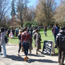 Sakura Days Japan Fair, Cherry Blossom Festival, VanDusen Botanical Garden | Photography by Jenny S.W. Lee