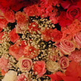 Fleurs de Villes NOËL | Vancouver, BC | Photography by Jenny S.W. Lee