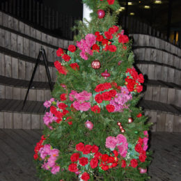 Fleurs de Villes NOËL | Vancouver, BC | Photography by Jenny S.W. Lee