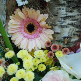 Fleurs de Villes VOYAGE | Vancouver, BC | Photography by Jenny S.W. Lee