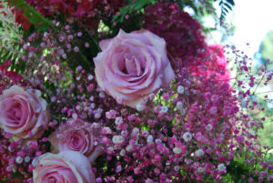 Fleurs de Villes VOYAGE | Vancouver, BC | Photography by Jenny S.W. Lee