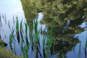 VanDusen Botanical Garden | Photography by Jenny S.W. Lee