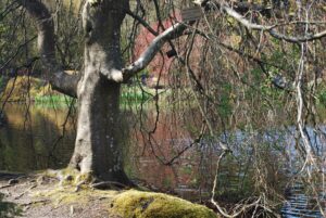 VanDusen Botanical Garden | Photography by Jenny S.W. Lee