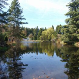 VanDusen Botanical Garden | Photography by Jenny S.W. Lee