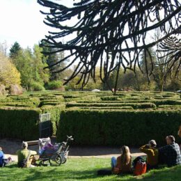 Hedge Maze, Sakura Days Japan Fair, Cherry Blossom Festival, VanDusen Botanical Garden | Photography by Jenny S.W. Lee