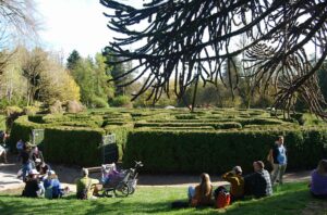 Hedge Maze, Sakura Days Japan Fair, Cherry Blossom Festival, VanDusen Botanical Garden | Photography by Jenny S.W. Lee