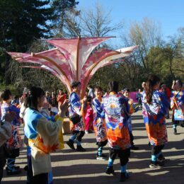 Sakura Days Japan Fair, Cherry Blossom Festival, VanDusen Botanical Garden | Photography by Jenny S.W. Lee