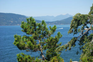 Lighthouse Park, West Vancouver, BC, Canada | Photography by Jenny S.W. Lee