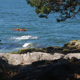 Shore Pine Trail