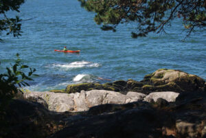 Lighthouse Park, West Vancouver, BC, Canada | Photography by Jenny S.W. Lee