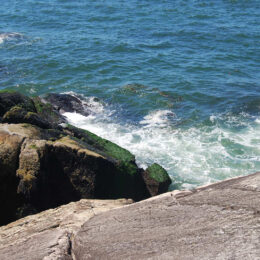 Shore Pine Trail
