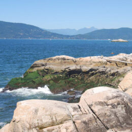 Shore Pine Trail