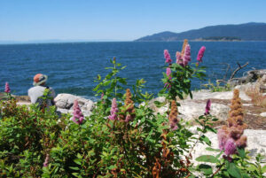 Lighthouse Park, West Vancouver, BC, Canada | Photography by Jenny S.W. Lee