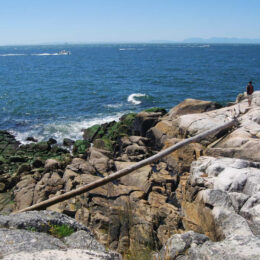 Shore Pine Trail