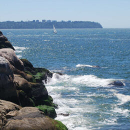 Shore Pine Trail