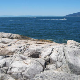 Shore Pine Trail