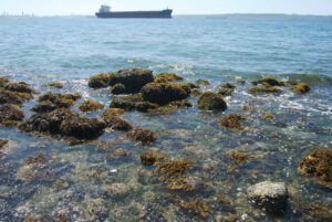 West Vancouver, BC | Photography by Jenny S.W. Lee