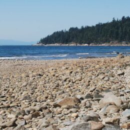 West Vancouver, BC | Photography by Jenny S.W. Lee