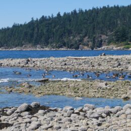 West Vancouver, BC | Photography by Jenny S.W. Lee