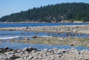 West Vancouver, BC | Photography by Jenny S.W. Lee