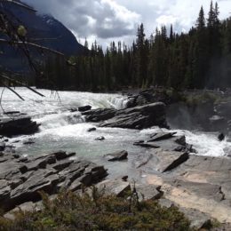 Athabasca Falls, Jasper National Park, Alberta Canada | Photography by Jenny S.W. Lee