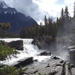 Athabasca Falls, Jasper National Park, Alberta Canada | Photography by Jenny S.W. Lee