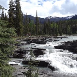 Athabasca Falls, Jasper National Park, Alberta Canada | Photography by Jenny S.W. Lee