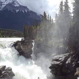 Athabasca Falls, Jasper National Park, Alberta Canada | Photography by Jenny S.W. Lee