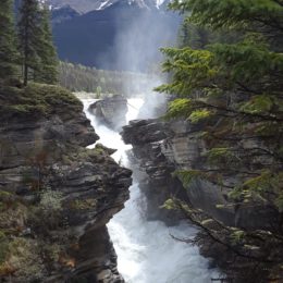 Athabasca Falls, Jasper National Park, Alberta Canada | Photography by Jenny S.W. Lee