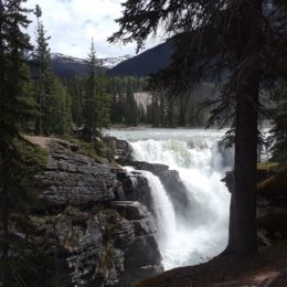 Athabasca Falls, Jasper National Park, Alberta Canada | Photography by Jenny S.W. Lee
