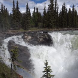 Athabasca Falls, Jasper National Park, Alberta Canada | Photography by Jenny S.W. Lee