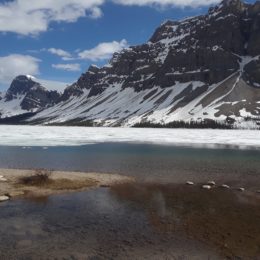 Bow Lake, Alberta Canada | Photography by Jenny S.W. Lee