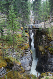 Maligne Canyon, Jasper National Park, Alberta Canada | Photography by Jenny S.W. Lee