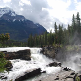 Athabasca Falls, Jasper National Park, Alberta Canada | Photography by Jenny S.W. Lee