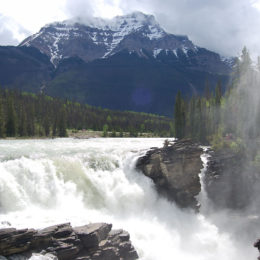 Athabasca Falls, Jasper National Park, Alberta Canada | Photography by Jenny S.W. Lee