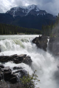 Athabasca Falls, Jasper National Park, Alberta Canada | Photography by Jenny S.W. Lee