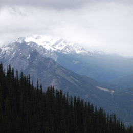 Sulphur Mountain, Banff National Park, Alberta Canada | Photography by Jenny S.W. Lee