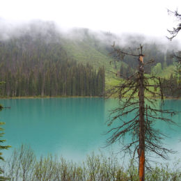 Emerald Lake, Yoho National Park, Alberta Canada | Photography by Jenny S.W. Lee
