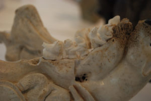 Musee National des beaux-arts du Quebec (MNBAQ) | Quebec, Canada | Photography by Jenny S.W. Lee