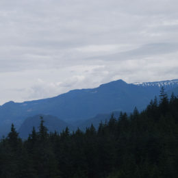 Howe Sound, Sea to Sky Gondola, Shannon Basin | BC Canada | Photography by Jenny S.W. Lee