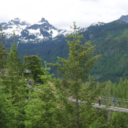 Sky Pilot Suspension Bridge, Sea to Sky Gondola | BC Canada | Photography by Jenny S.W. Lee