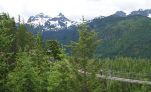 Sky Pilot Suspension Bridge, Sea to Sky Gondola | BC Canada | Photography by Jenny S.W. Lee