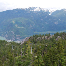 Sky Pilot Suspension Bridge, Sea to Sky Gondola | BC Canada | Photography by Jenny S.W. Lee